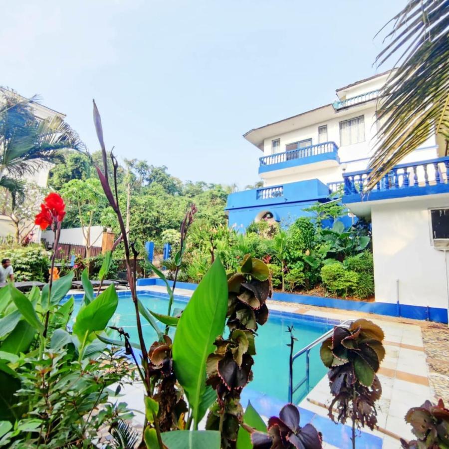 Amazing Hilltop 4 Bhk Villa With Private Pool Near Candolim Exterior photo